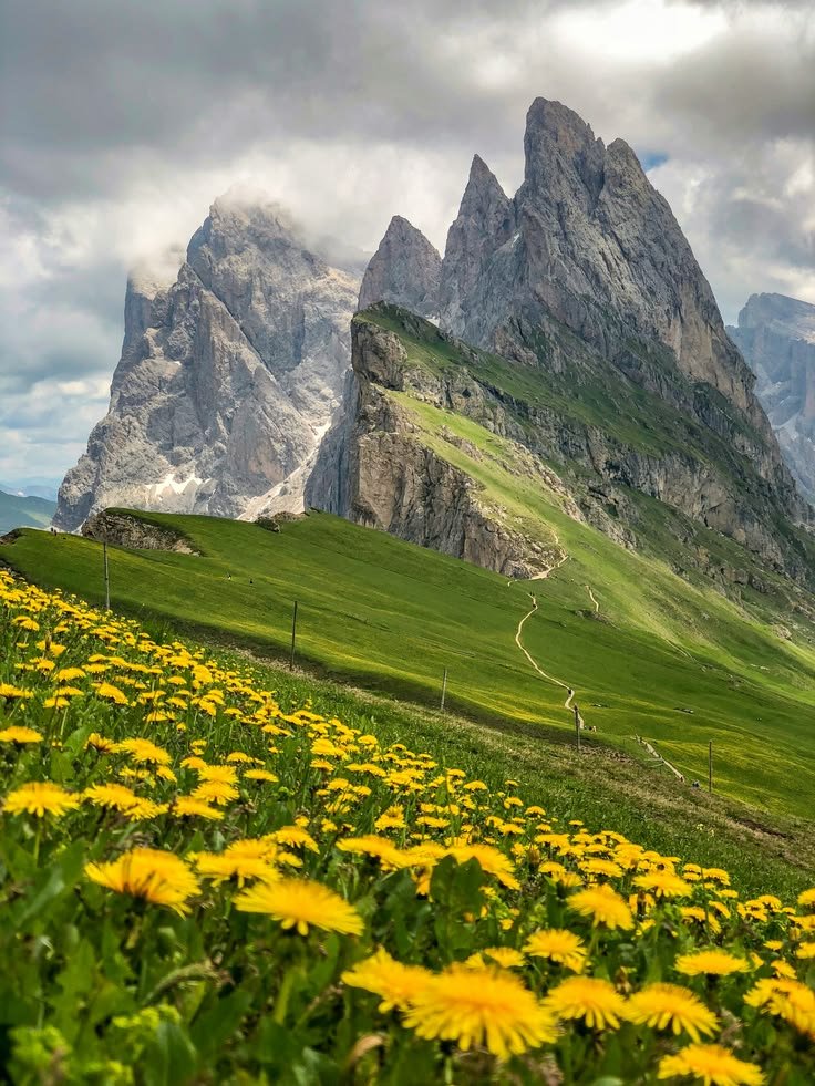 NaturalWorld515's tweet photo. The Dolomites look like God was showing off https://t.co/TFZd7hRTRo