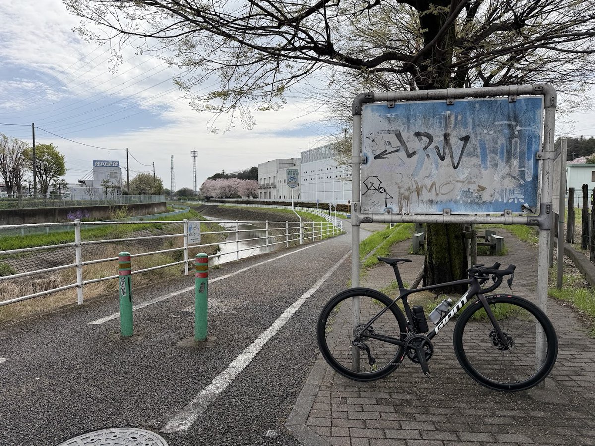 やました tweet media