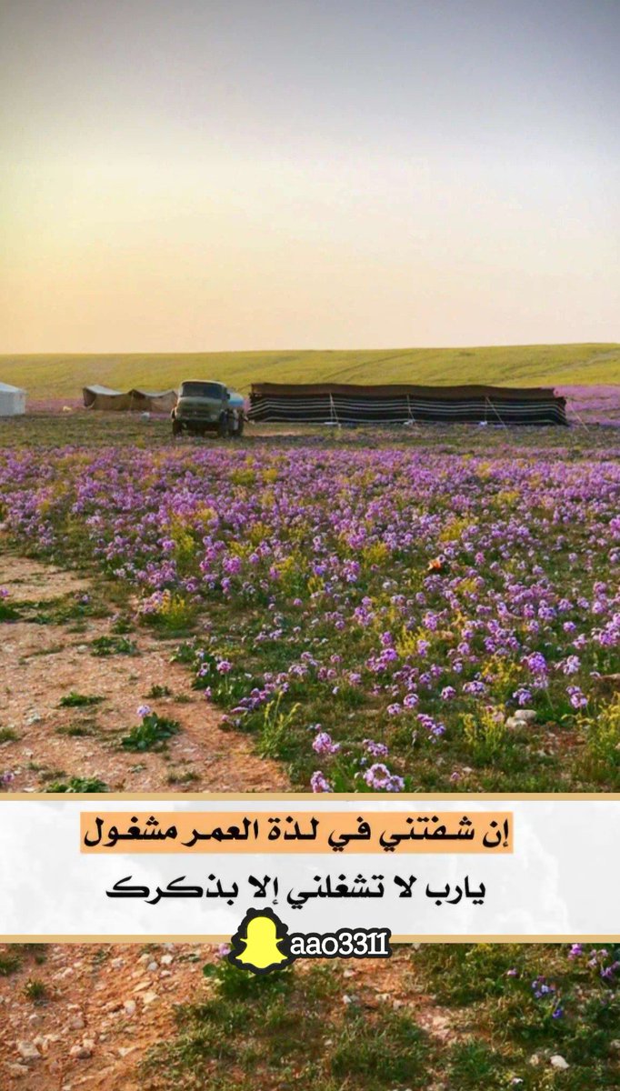 AlkhaterSaid's tweet photo. #صباح_الامل_والتفاول https://t.co/6Ee857XArN