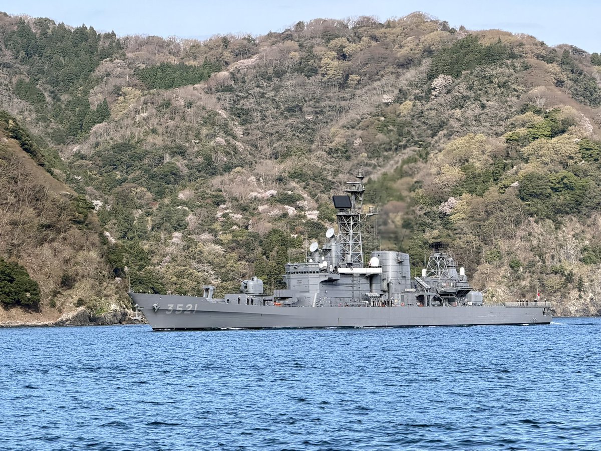 ひよこの飼い主(たまころ&ぴよ) tweet media