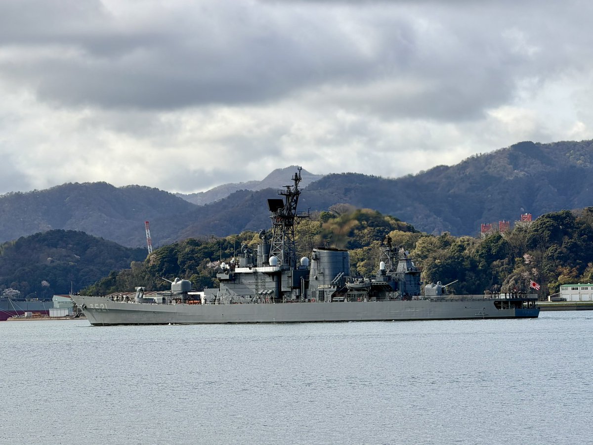 ひよこの飼い主(たまころ&ぴよ) tweet media