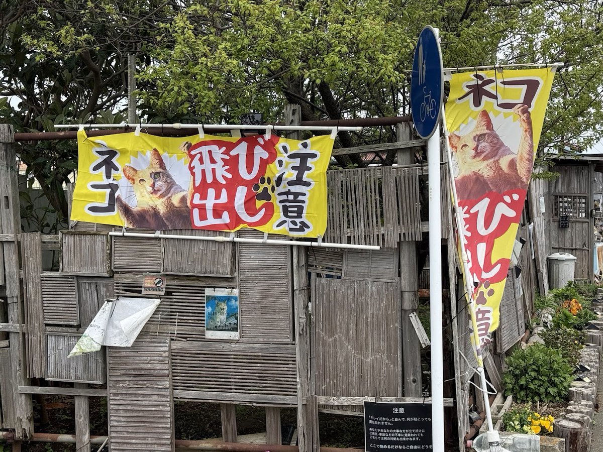 やました tweet media