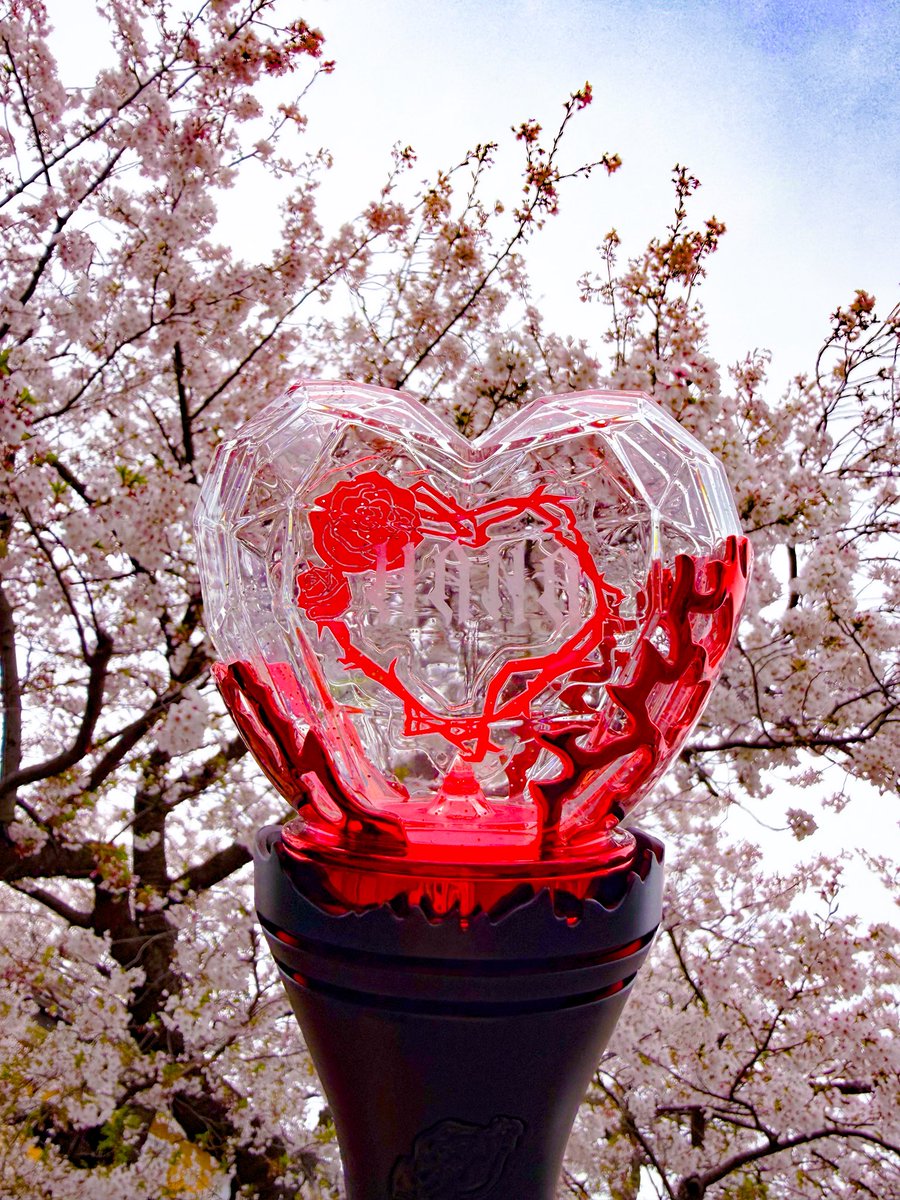 湘南のぽめまる🐾足跡には花束🐾🌸 tweet media