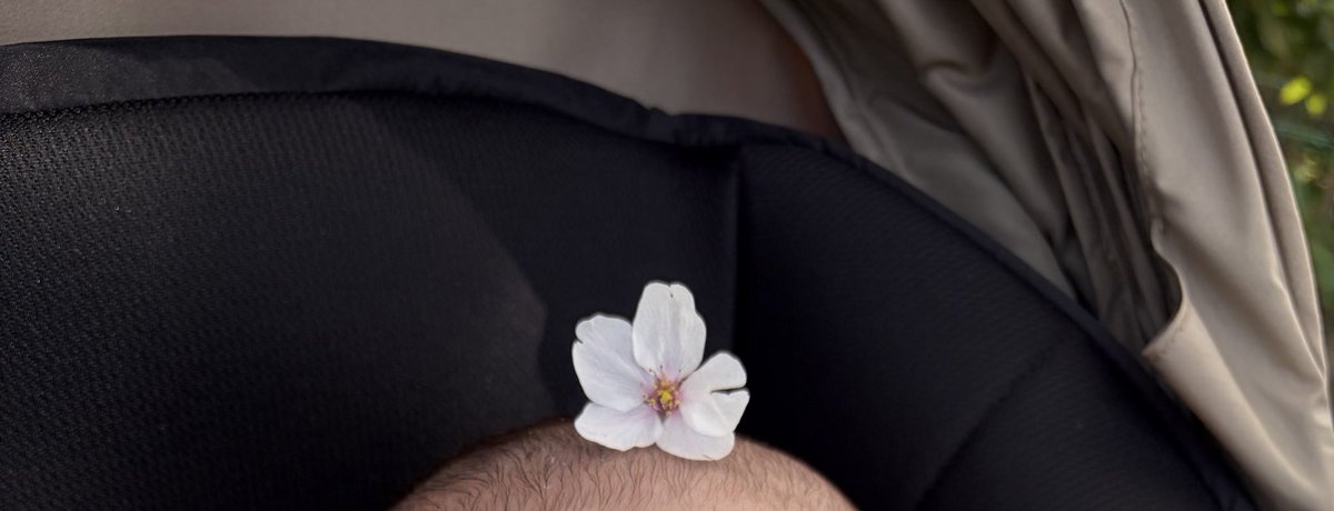 みん☺︎2m🦕🤍⋆͛ tweet media