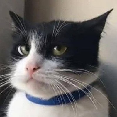 Devil Jone Qrit😈 tweet media