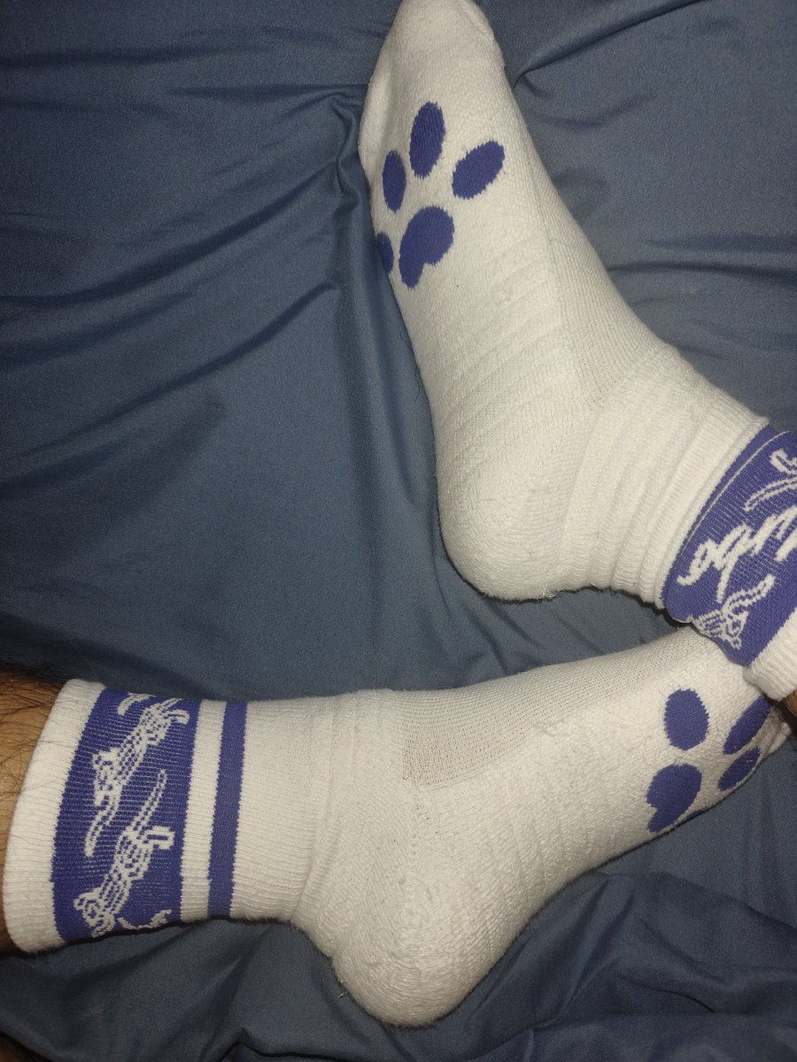 兔啵Turbo→兽行 tweet media