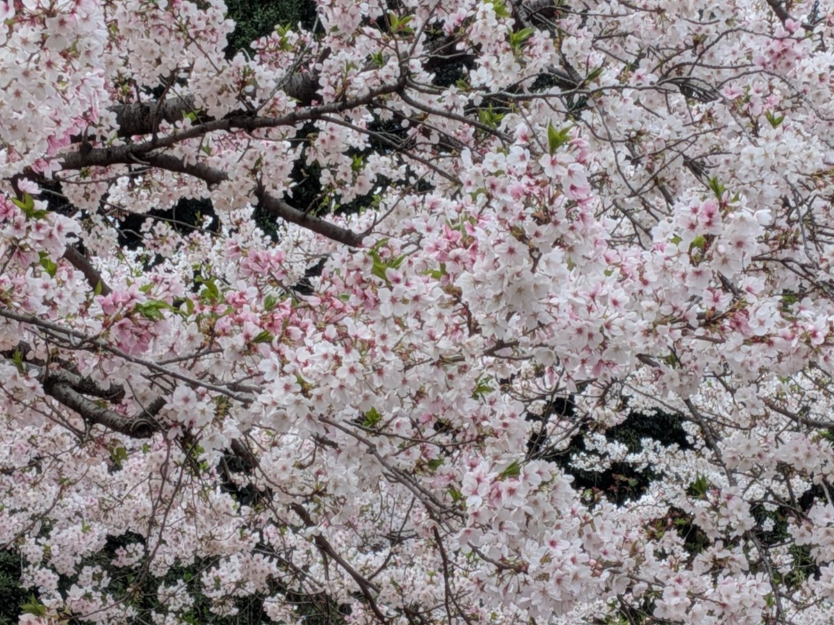 hiro予備アカウントに変更しました tweet media