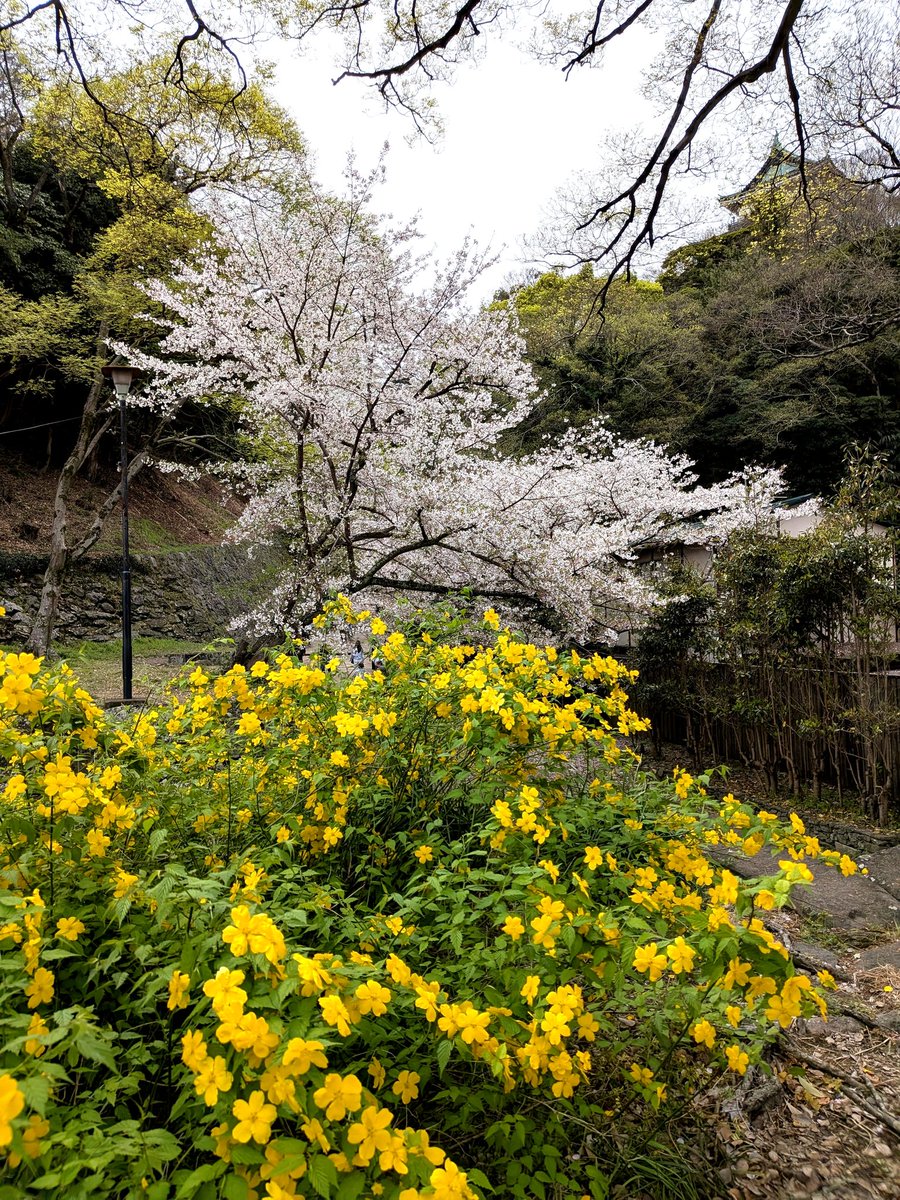 hiro予備アカウントに変更しました tweet media