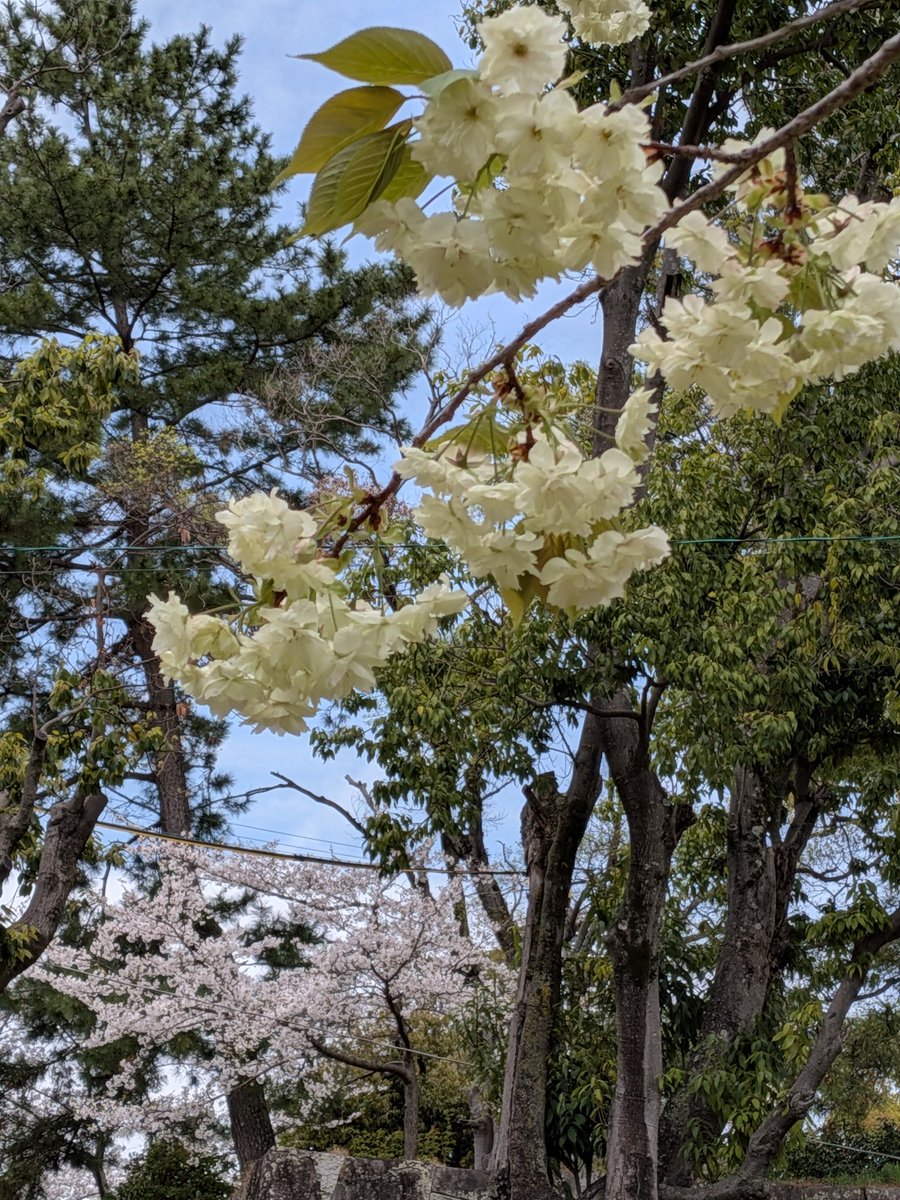 hiro予備アカウントに変更しました tweet media