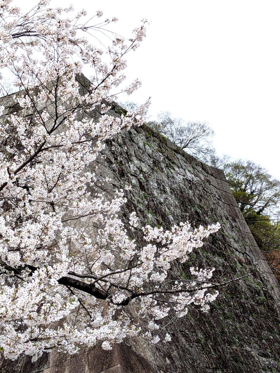 hiro予備アカウントに変更しました tweet media