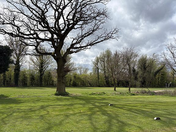 Calderfields tweet media