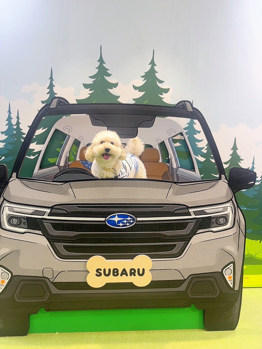 mimi🐰🦊 tweet media