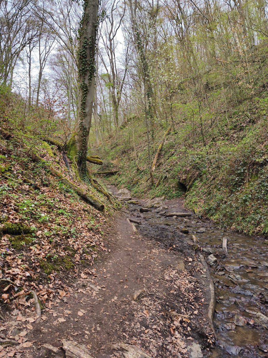 Tag 4 in der Psychosomatik 

Es ist noch keine 8 Uhr. Blutdruck messen liegt schon hinter mir. Gleich geht's zum Frühstück, aber meine Beine sind so schwer. Gestern spontan einer längeren Wanderung mit Mitpatienten angeschlossen. 
Das hat so unfassbar gut getan!