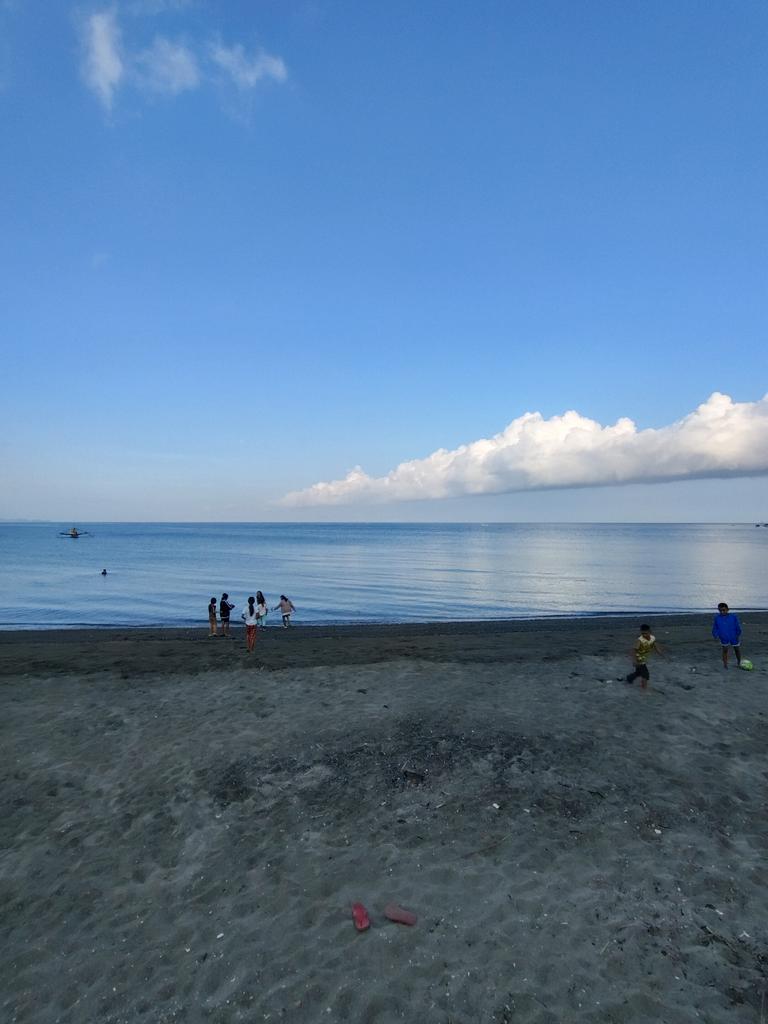 ALTER NEGROS tweet media