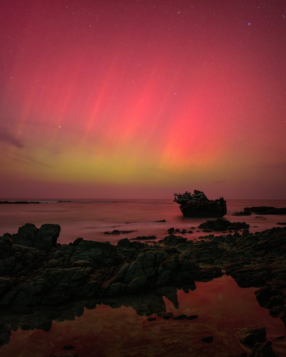 mzansi fo sho 🇿🇦 tweet media