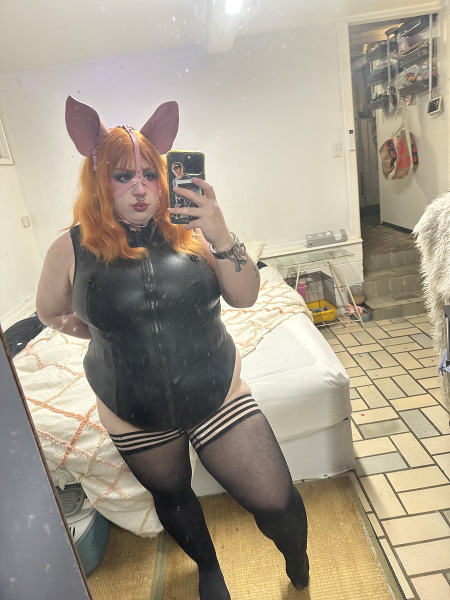 ⎕ ⚞•⚟🧅18+ PhanniePaypig🧅 ⚞•⚟ ⎕ tweet media