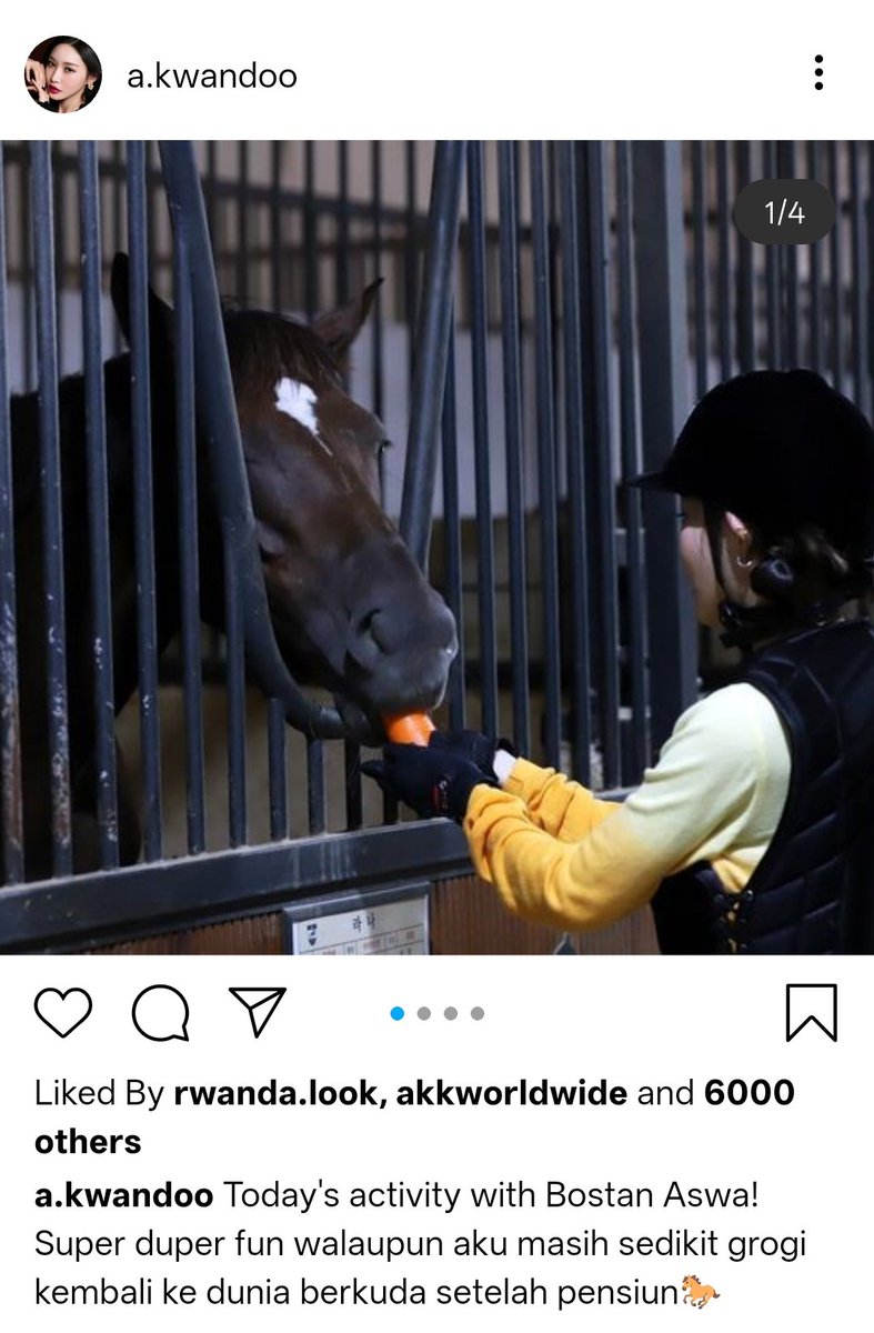 𝘼𝙪𝙧𝙞𝙨𝙮𝙖 𝙆𝙬𝙖𝙣𝙙𝙤. tweet media