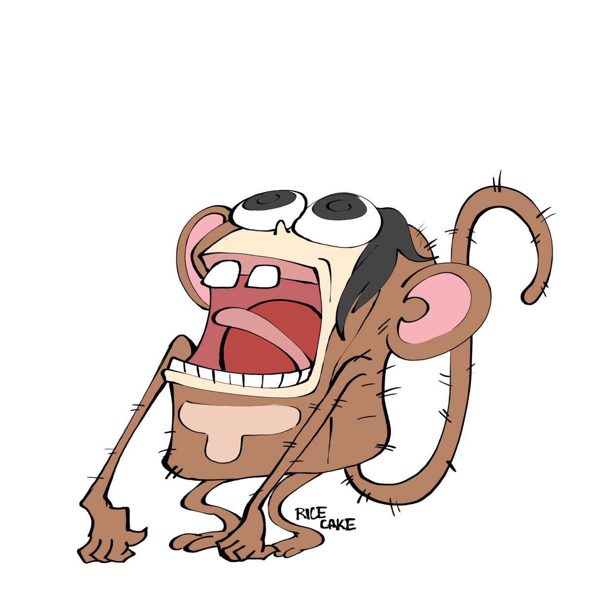 RiceCakeFactory tweet media