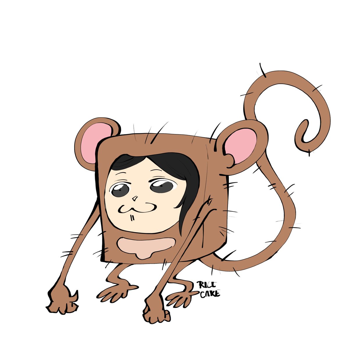 RiceCakeFactory tweet media