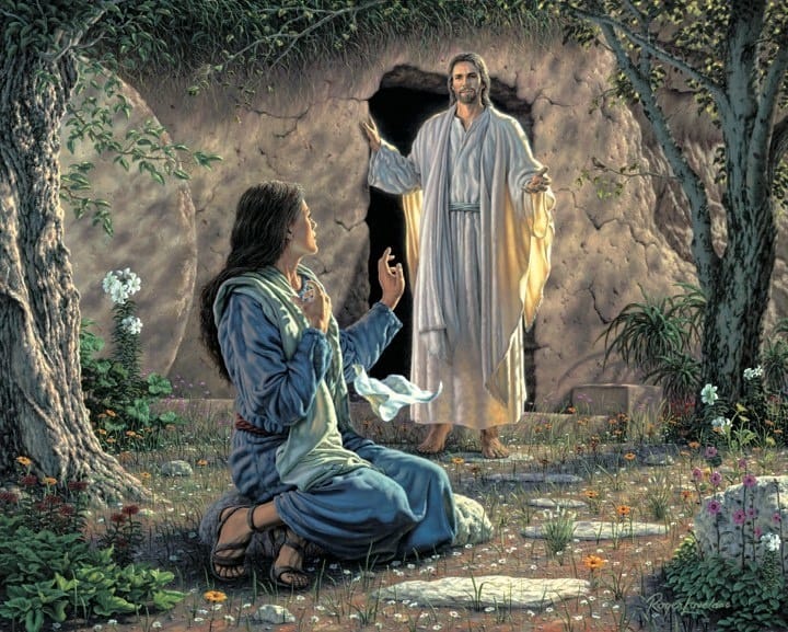 Vanja & Mila (づ ̄3 ̄)づ❤️ tweet media