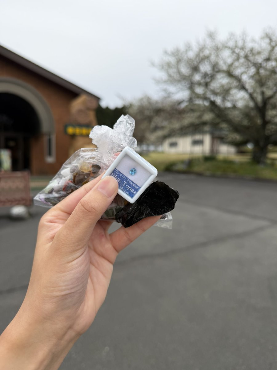 しおり tweet media