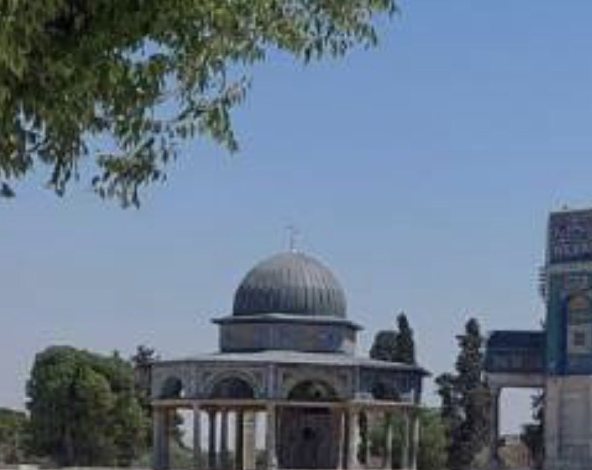 Ayat oraby tweet media