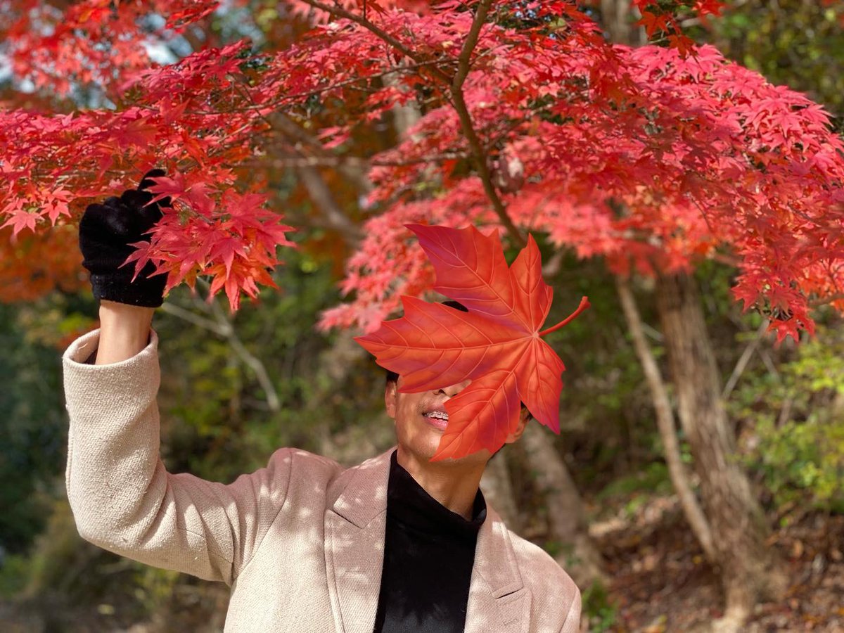 Alter Gen Z tweet media