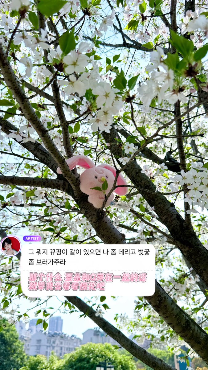 dayueyuezzzz tweet media