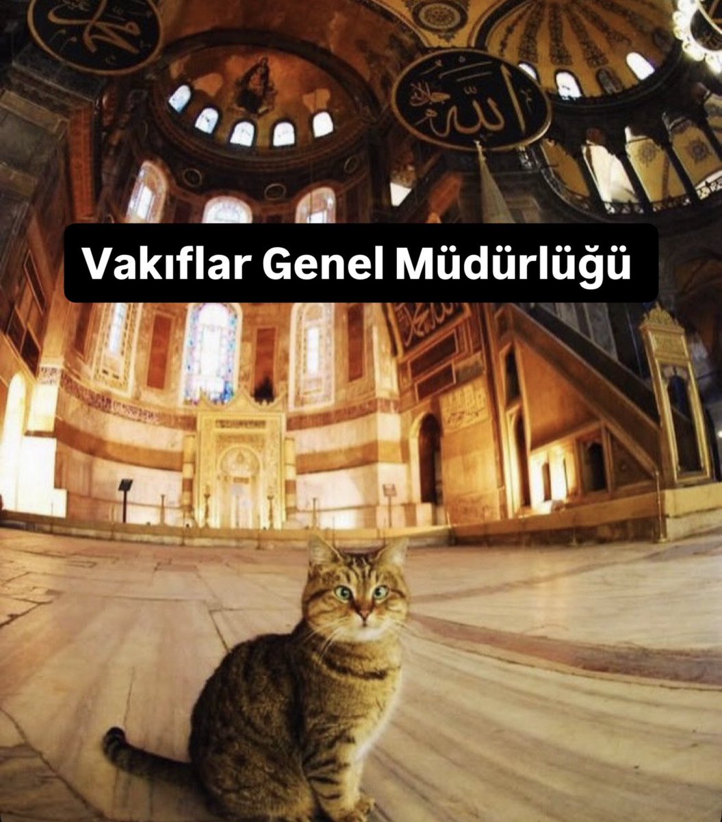 Celaleddin Gül tweet media