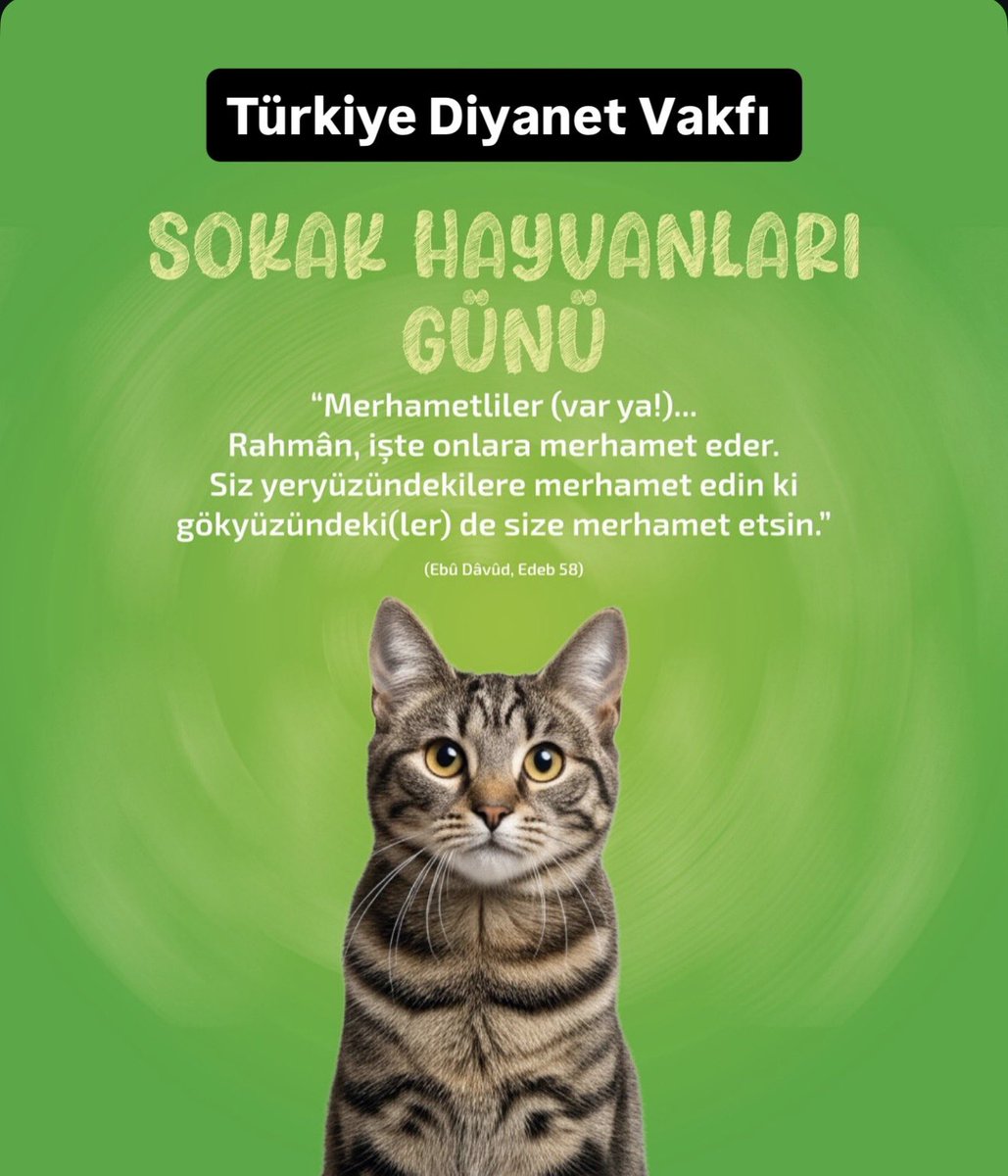 Celaleddin Gül tweet media