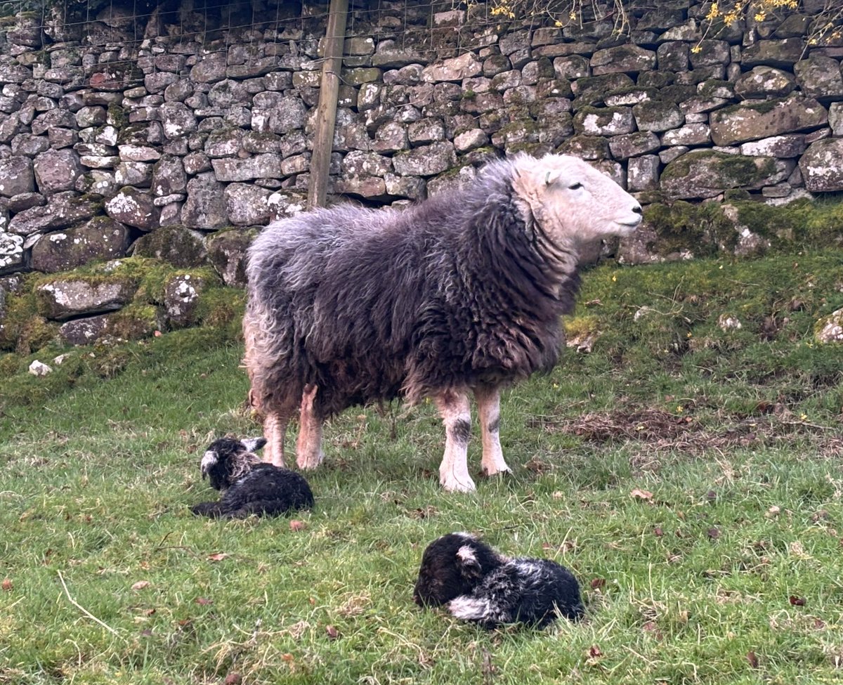 Grinton smallholder tweet media