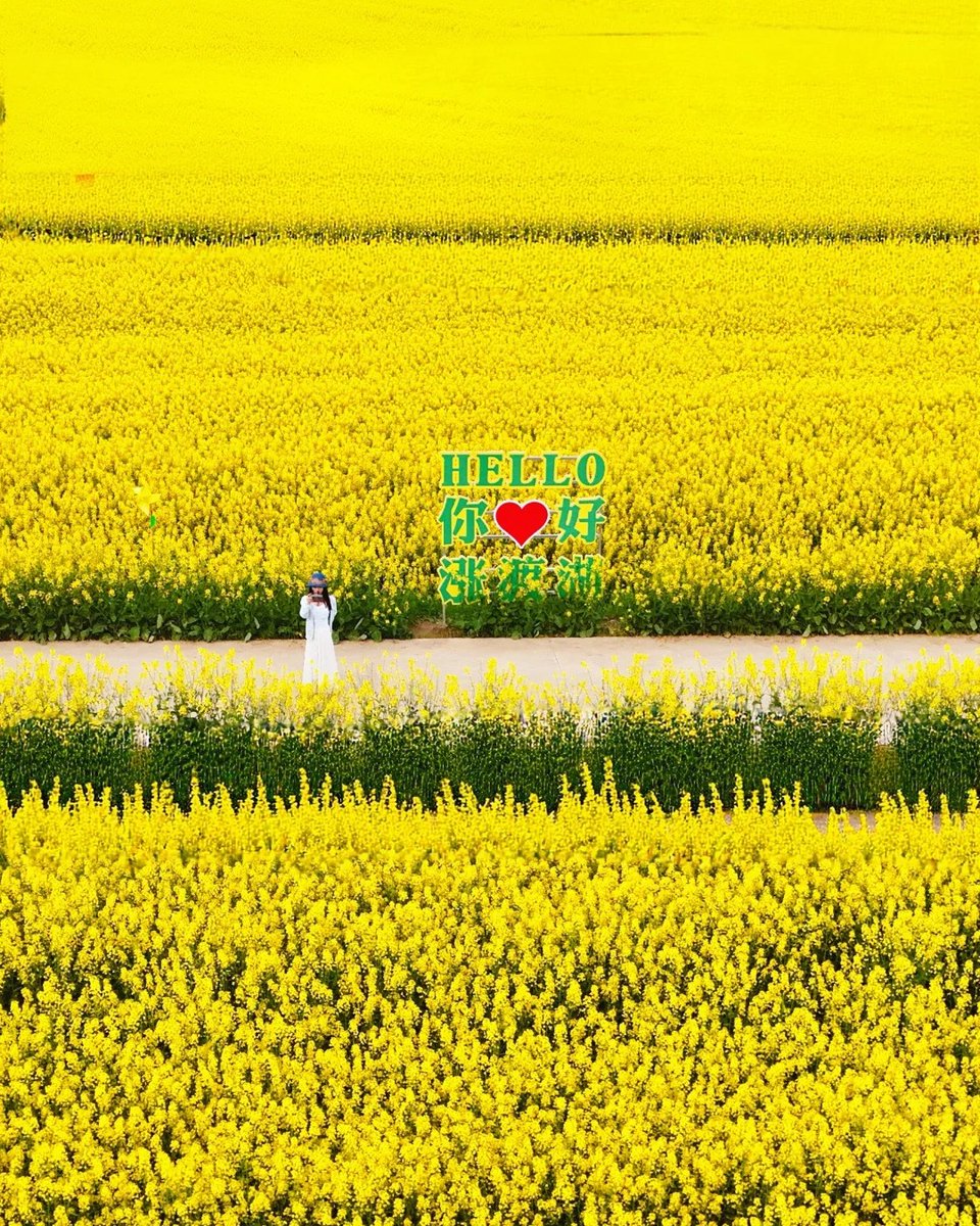 HelloHubei tweet media