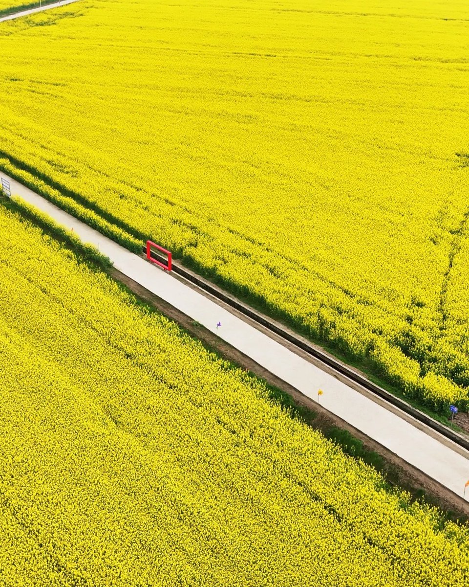 HelloHubei tweet media