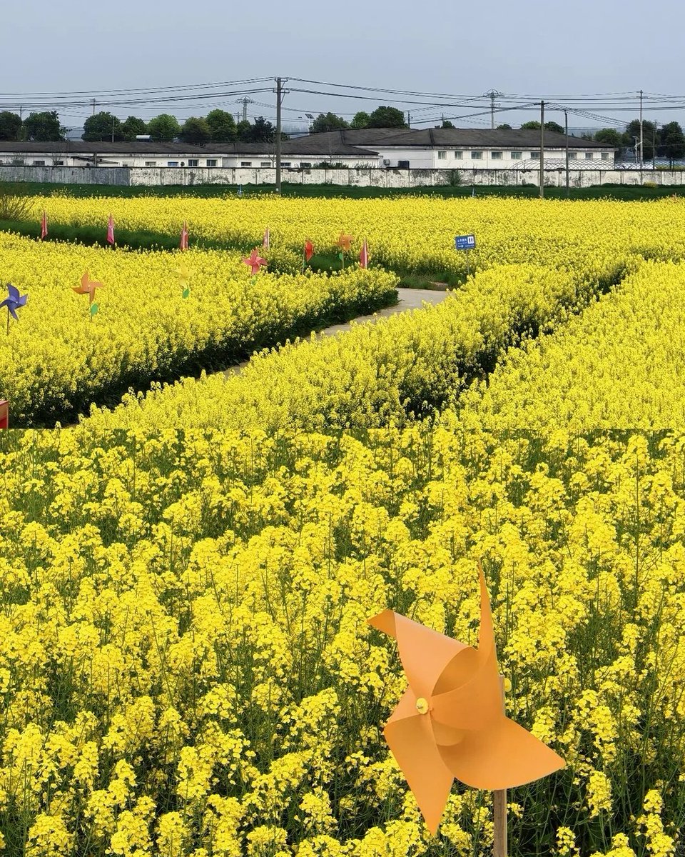 HelloHubei tweet media