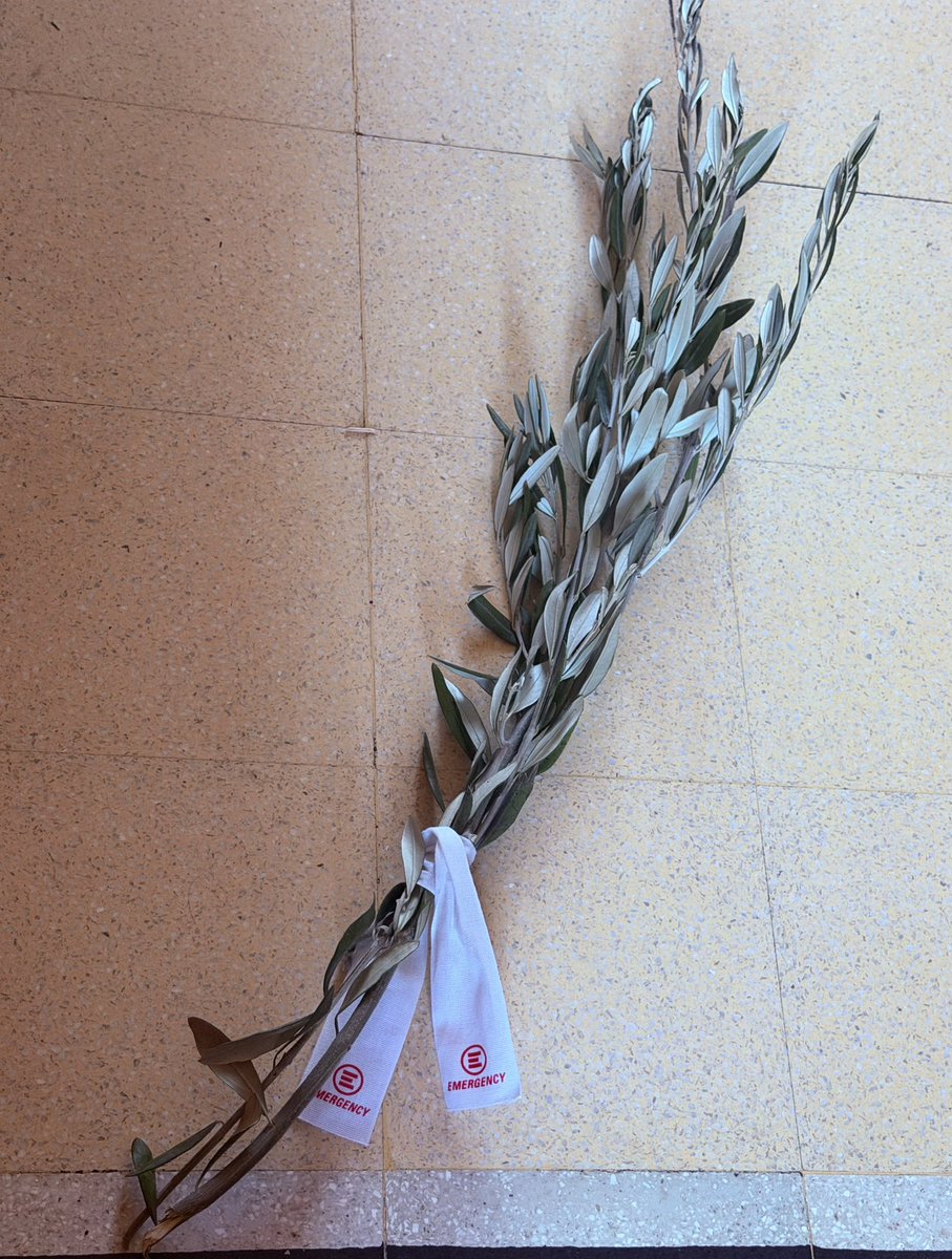 Nico Piro tweet media