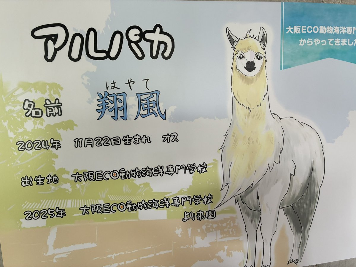 ルル・アマツ@FF14アニマ鯖の個人V tweet media