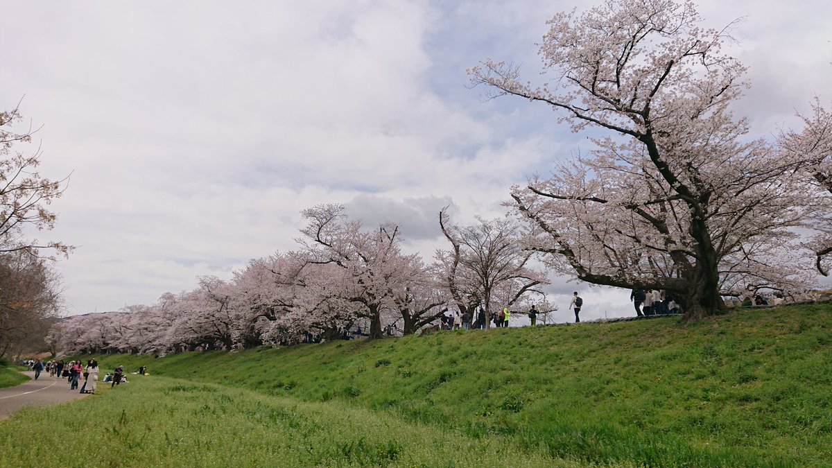 うたまつ tweet media