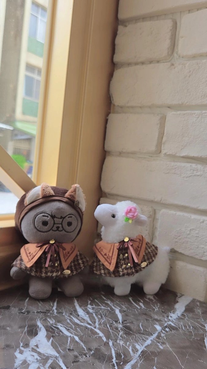 alice405411's tweet photo. 🐈⬛🦙💖
#Mapoduo https://t.co/THtEBCBEal