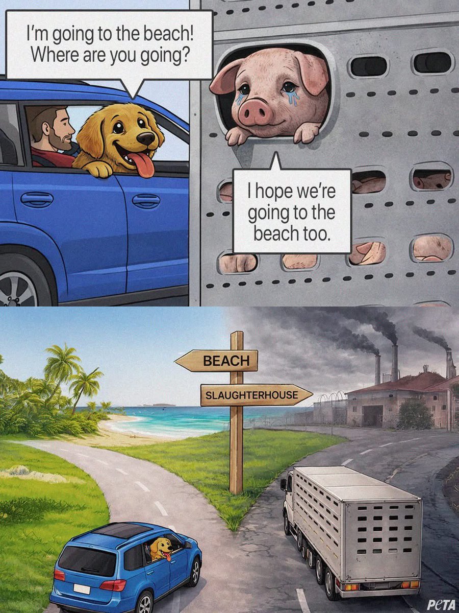 dominic dyer tweet media