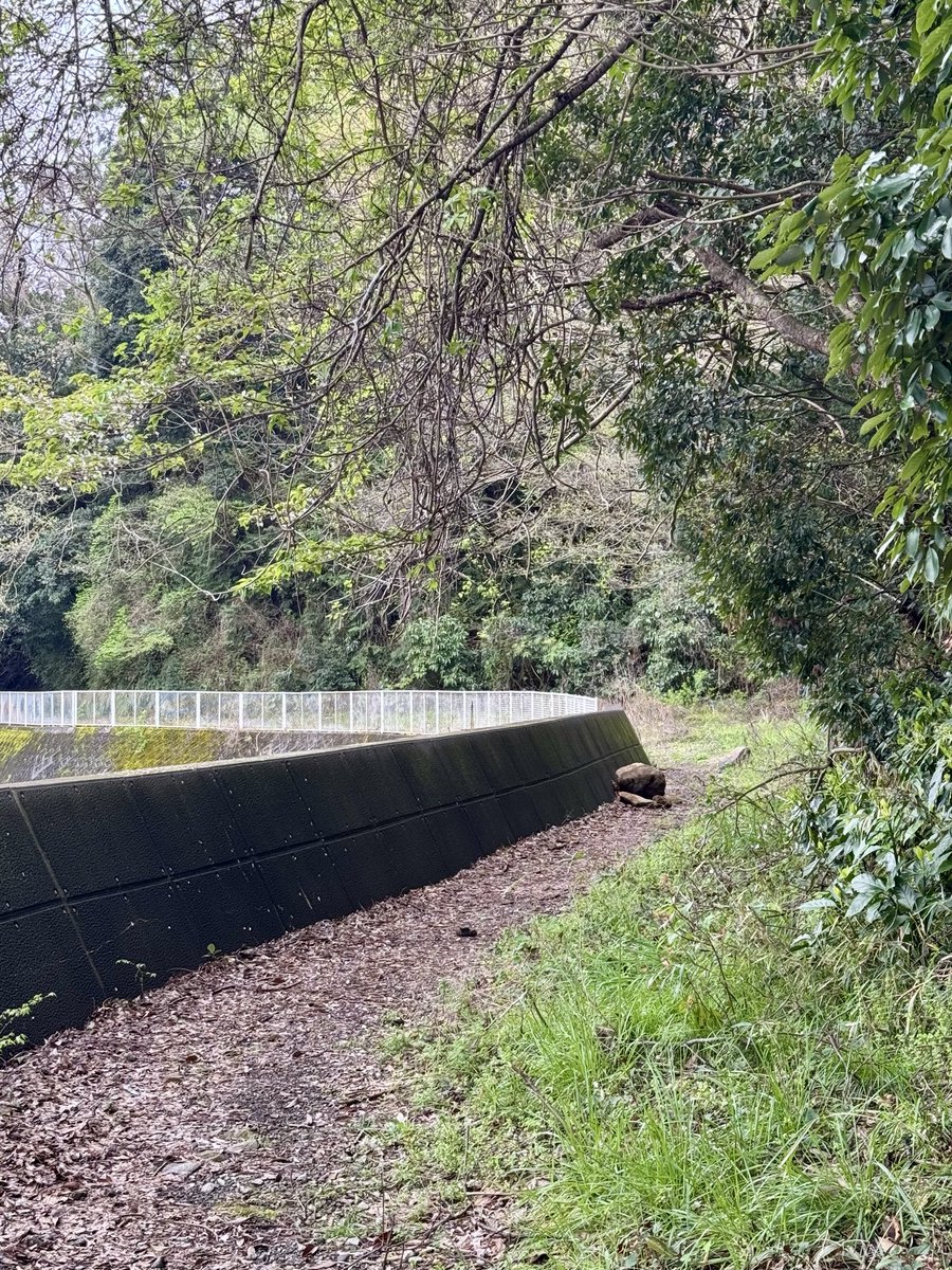 nejikuman tweet media