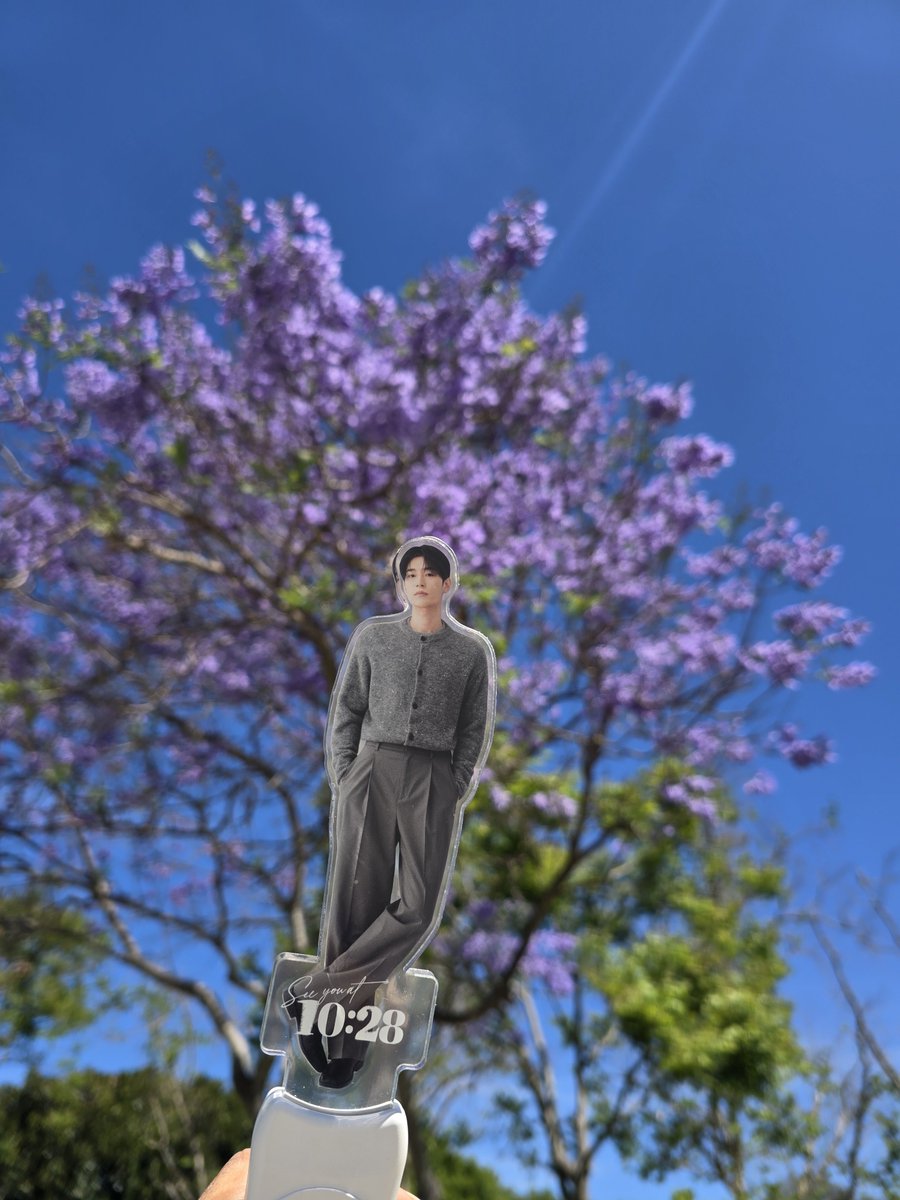 솸님별님 tweet media