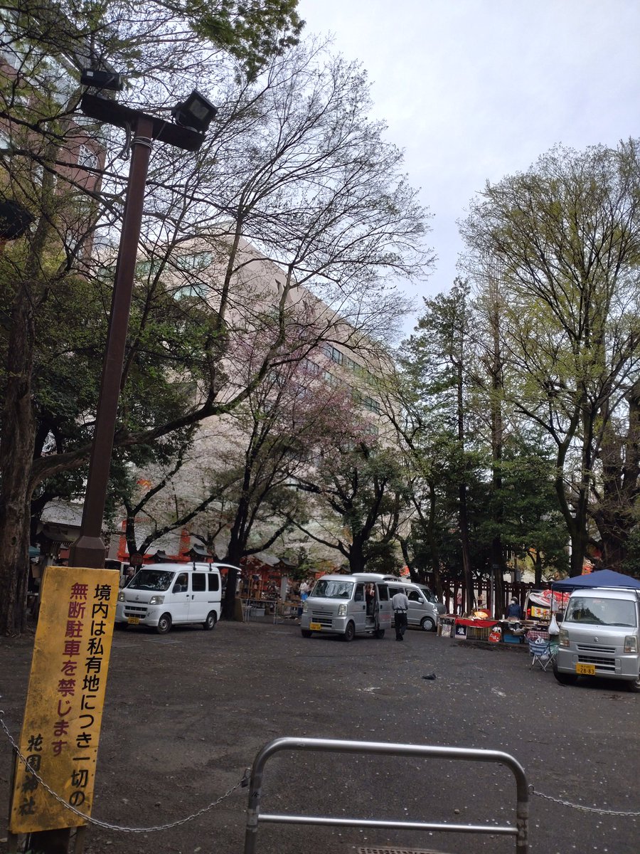 GoldenDoubleDeluxe!! tweet media