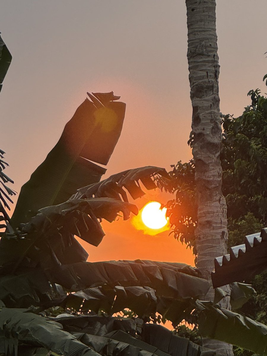 Ohma_senpai tweet media