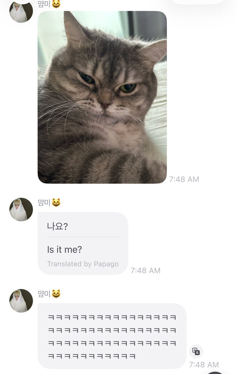 Lau. ʚɞ tweet media