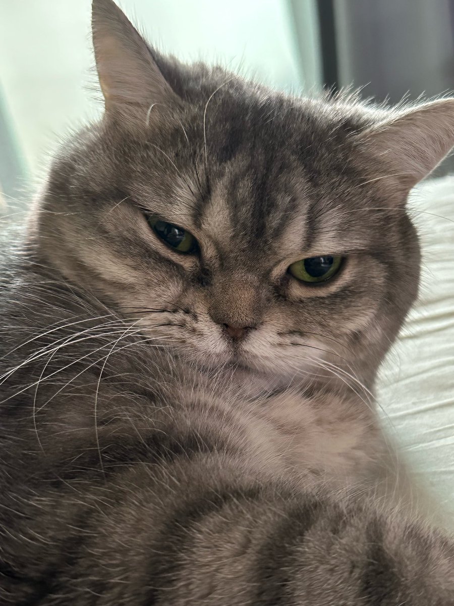 Lau. ʚɞ tweet media