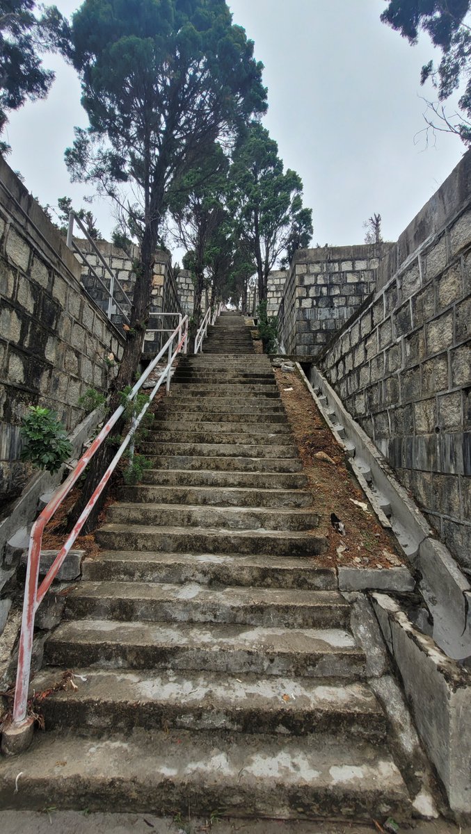 葉先生 tweet media