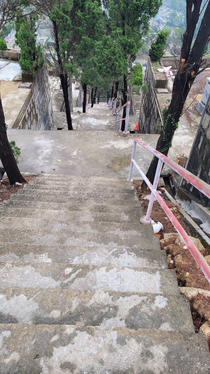 葉先生 tweet media