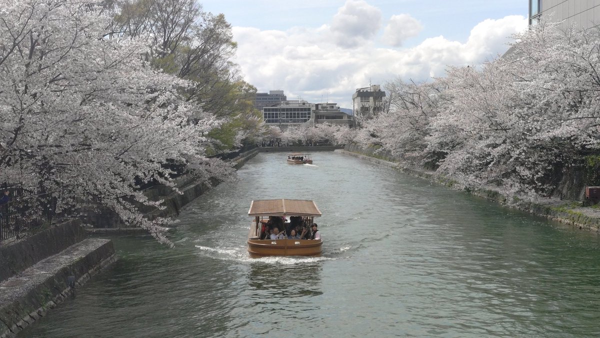 廃藩置県💦 tweet media