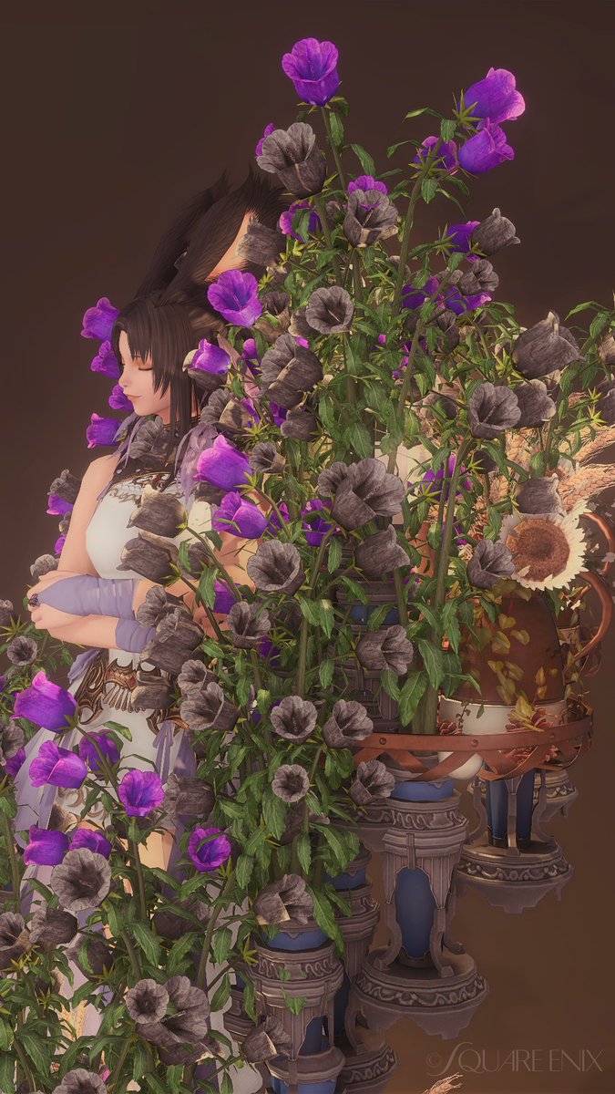 eo_Re #1derViera #うさこ #FF14 #ヴィエラ