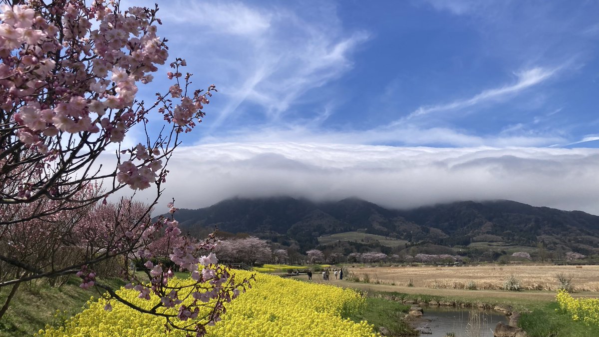 暇人ライダー黒丸　復活 tweet media